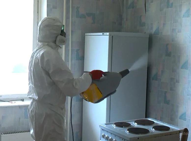 обработка от тараканов кухни туманом