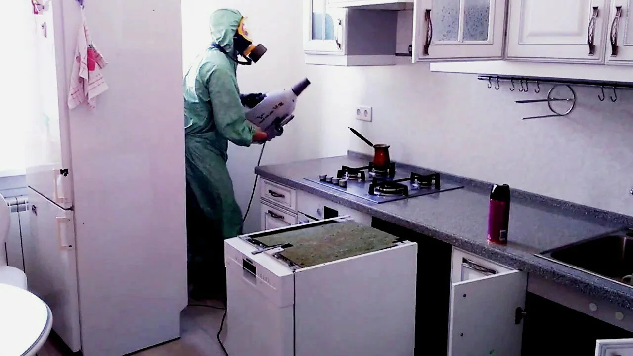 обработка от тараканов кухни туманом