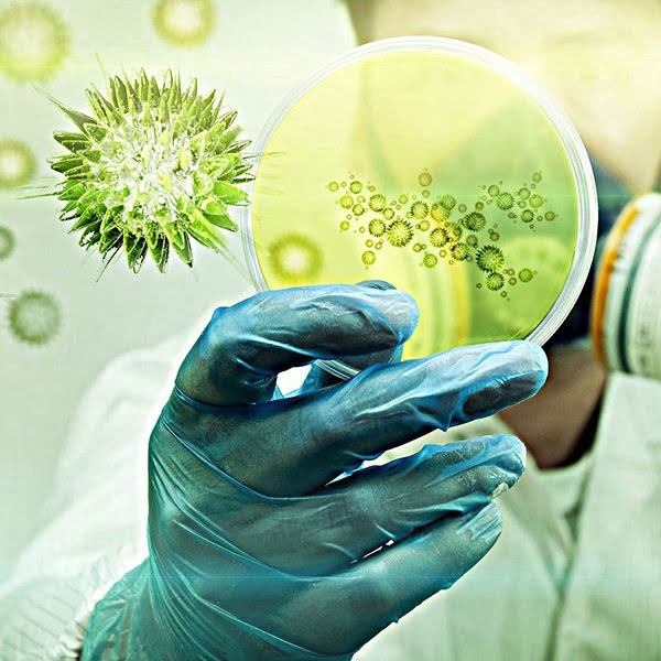 Дезинфекция