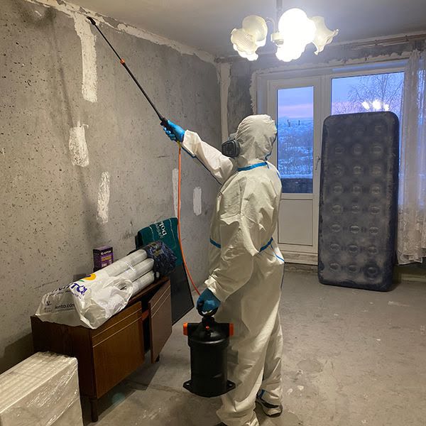 Дезинсекция