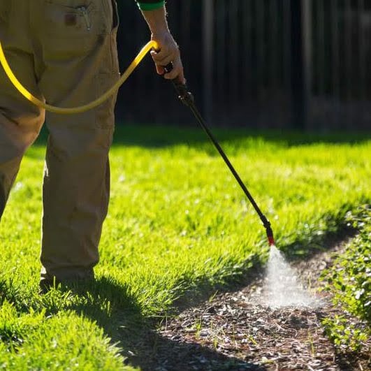 Гербицидная обработка (уничтожение борщевика)